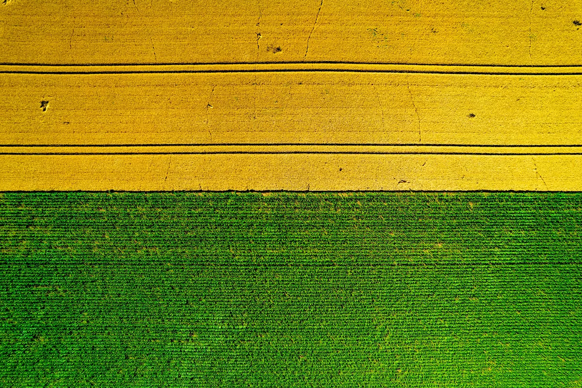 Vista aérea de fazenda com talhões em diferentes tons de verde