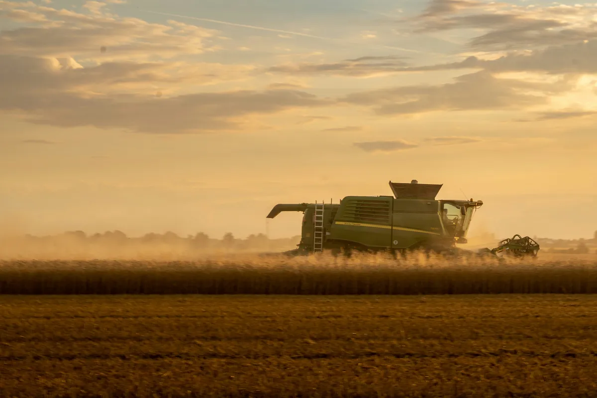 Máquina agrícola trabalhando no talhão