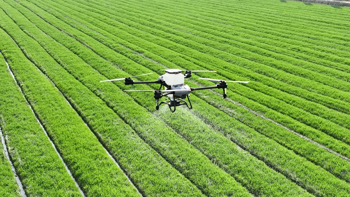 Drone aplicando insumo sobre a lavoura